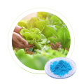 DR AID Hot Vendre des algues naturelles Extrait fertiliser Gel NPK 19 19 19 Engrais soluble à eau pour les cultures